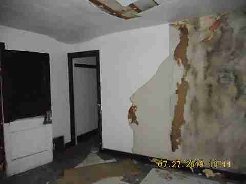 16737 Dolphin (19)_m.jpg